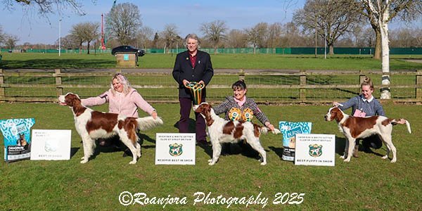 Best in Show, Reserve Best In Show and Best Puppy