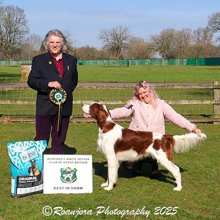 Best In Show