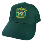 Cap - 2026