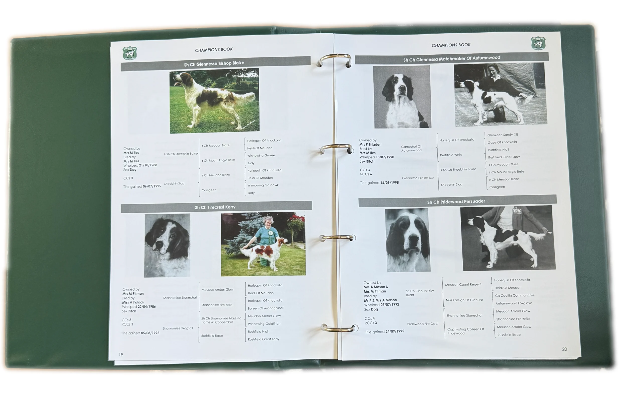 Champions' Book