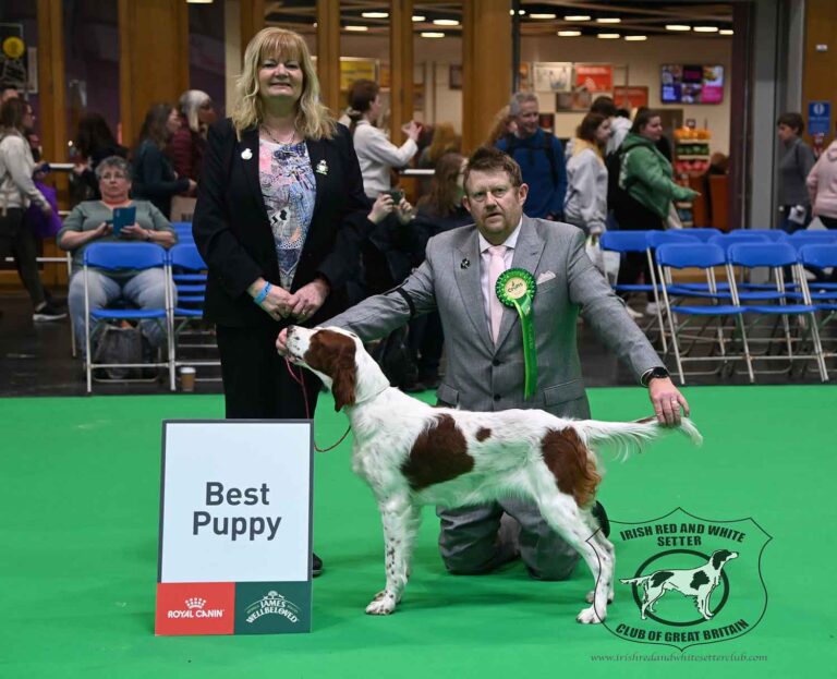 BP