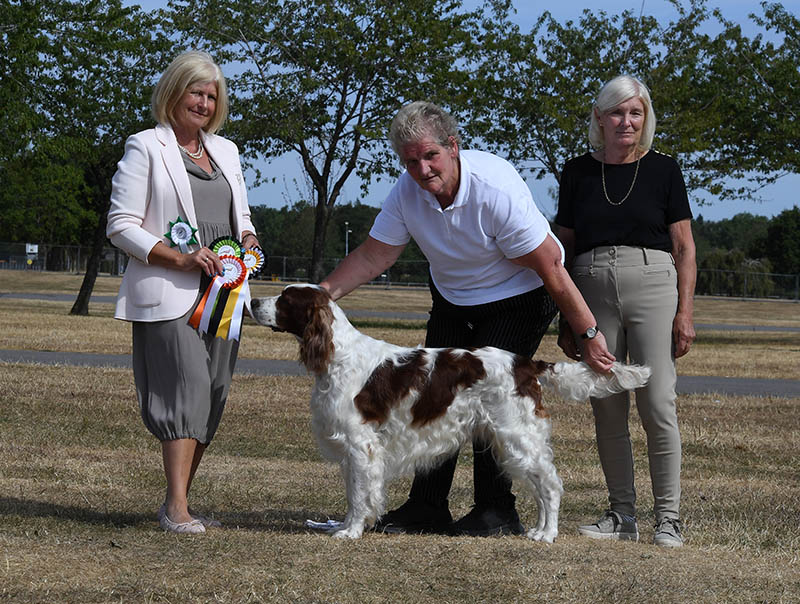 Carrick Shadow Dog With Alanea